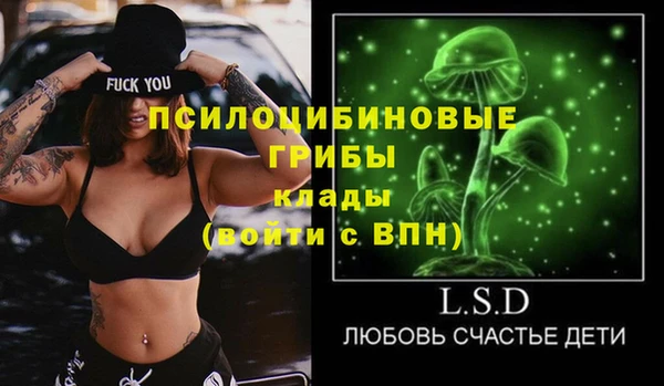 гидра Медвежьегорск
