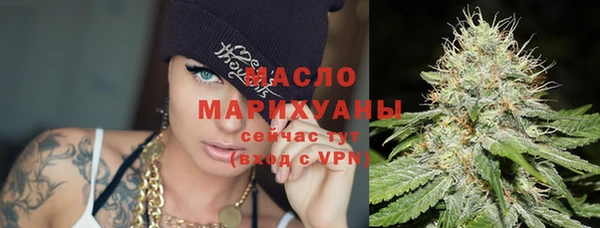 гидра Медвежьегорск