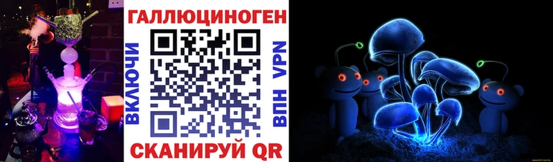 Псилоцибиновые грибы Psilocybine cubensis  Таштагол 